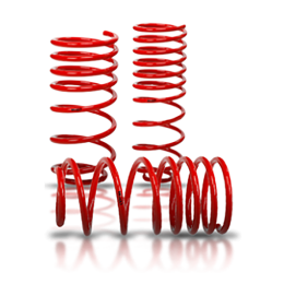 Lowering Springs