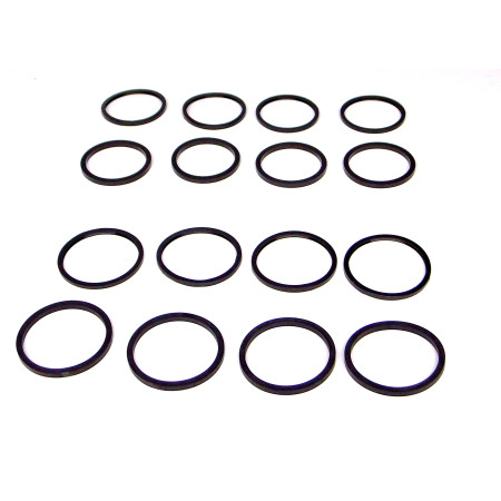 27P CPR290 01 / V-MAXX   Piston+Dust ring kit for 290mm Calipers (VM03/04)
