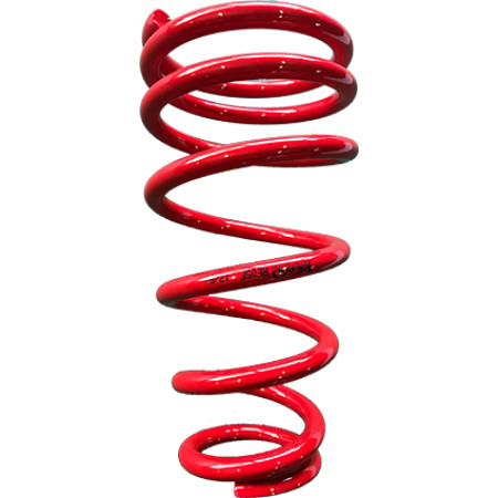 60S RE 05F / Losse VOOR veer: RE 05F  (schroefset: 60 RE 05)