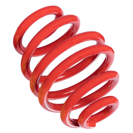 60S BM 08R / Single REAR spring:  BM 08R  from coilover kit: 70 BM 08 (1 Pcs.)