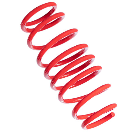 60S CI 01R / Losse ACHTER veer (schroefset): 60 CI 01 / 60 CI 02 / 60 CI 03 / 60 PE 07 / 60 PE 08 / 60 PE 09 / 60 PE 10 / 60 PE 11  (= 1 St.)