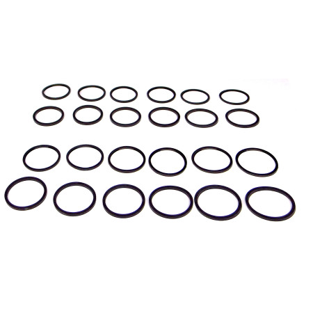 27P CPR355 01 / V-MAXX   Zuiger+Stof - ringen set t.b.v. 355mm Remklauwen (VM05/06)