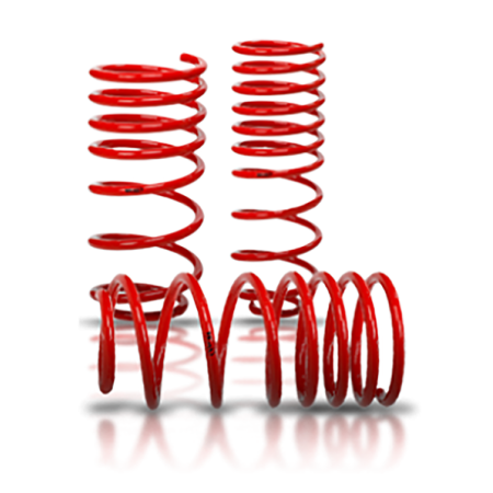 Lowering Springs